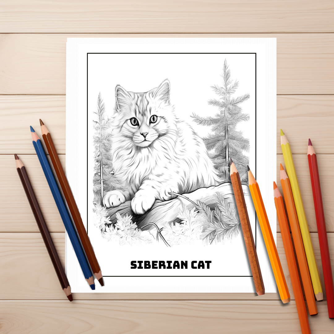 Adorable-Kittens-Coloring-Book-Inside-Sample-3-Siberian-Cat