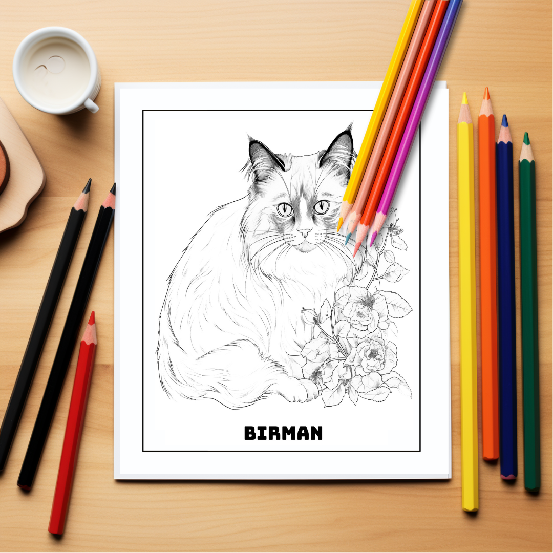 Adorable-Kittens-Coloring-Book-Inside-Sample-7-Birman